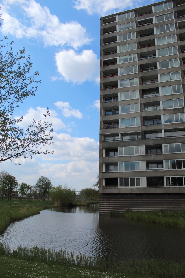 Цветущая Сакура. Прогулка по парку с Алисой. Весенние зарисовки (фото 9)