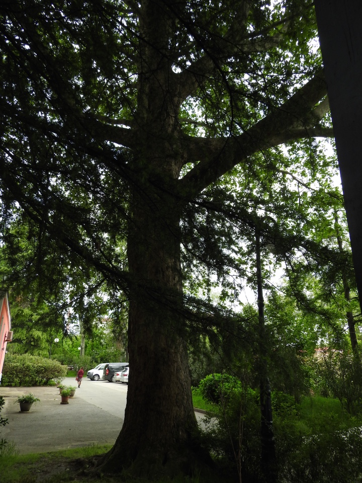 Сочи-Адлер: Южное Взморье - виртуальное путешествие по территории санатория