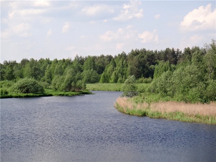 Ландышевая Сказка — Куклы Heidi Plusczok (Хайди/Хейди Плюсчок) — фото