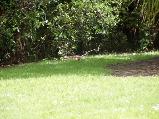 Увлекательное путешествие по Новой Зеландии