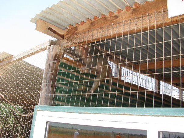 Путешествие на о. Кипр — Туризм и путешествия: фотоотчеты из поездок