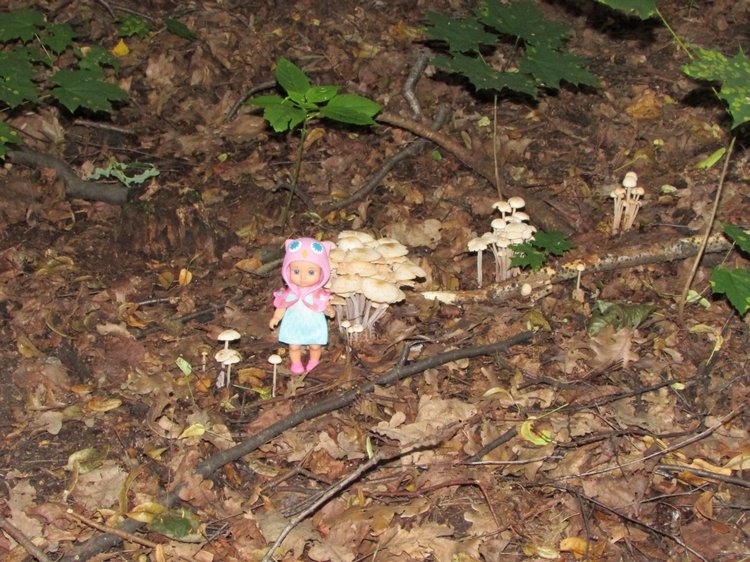 Веселое путешествие по Парку Измайлово - 2