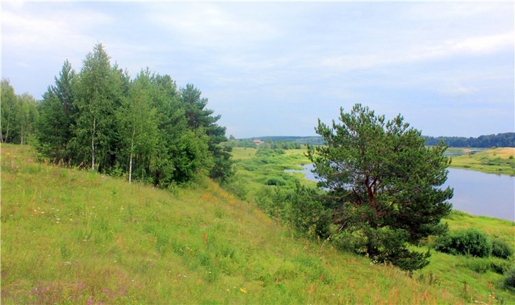 Летняя Фантазия — Куклы Kaye Wiggs (Кайе Виггс): авторские BJD (БЖД)