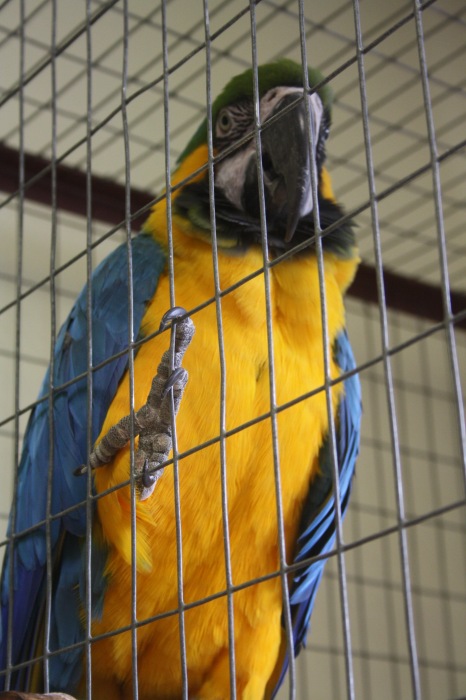 Псков. Эколого-биологический центр. Часть 1 (фото 6)