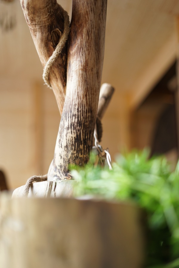 Wabi-Sabi. Японский стиль в российской деревне (фото 6)