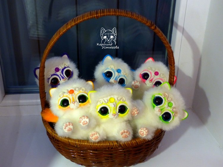 Королевские волшебные коты, породы: Мирис. В кадре и за кадром. Процесс (фото 6)