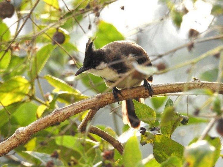 Любителям природы - профессиональные фотографии (выпуск 4)
