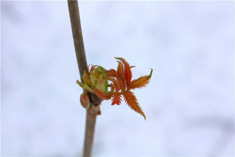 Путешествие в первый день Весны