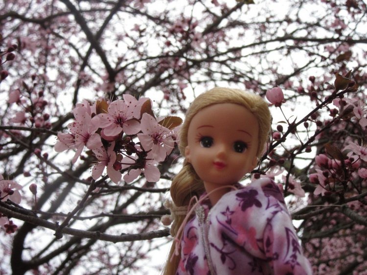 До пандемии. Путешествие по Италии, часть 3 (Флоренция, аутлет Барберино)