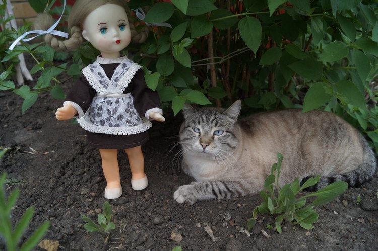 Вы любите топики про лечение кукол? Тогда вам сюда