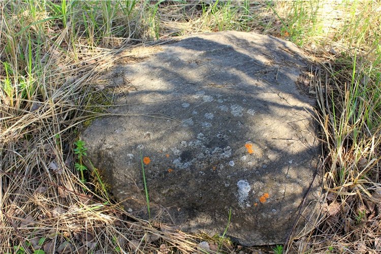 Долгая дорога к Волге. Custom Blythe Doll UFO Go Go Takara