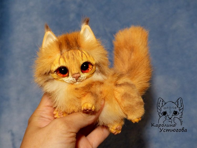 Карманный котеночек породы: Мейн-Кун