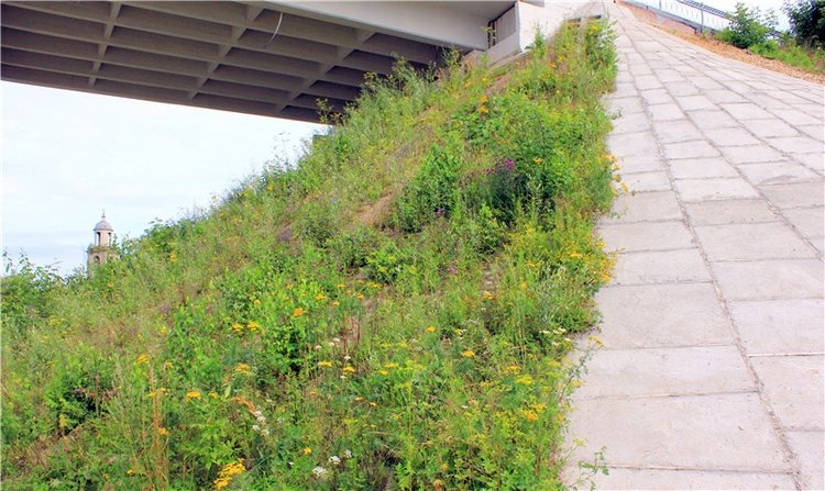 Июльское путешествие в Старицу, продолжение