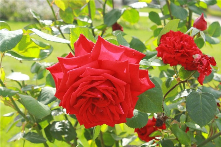 Сентябрьское путешествие в Старицу. Старицкий Свято-Успенский Монастырь