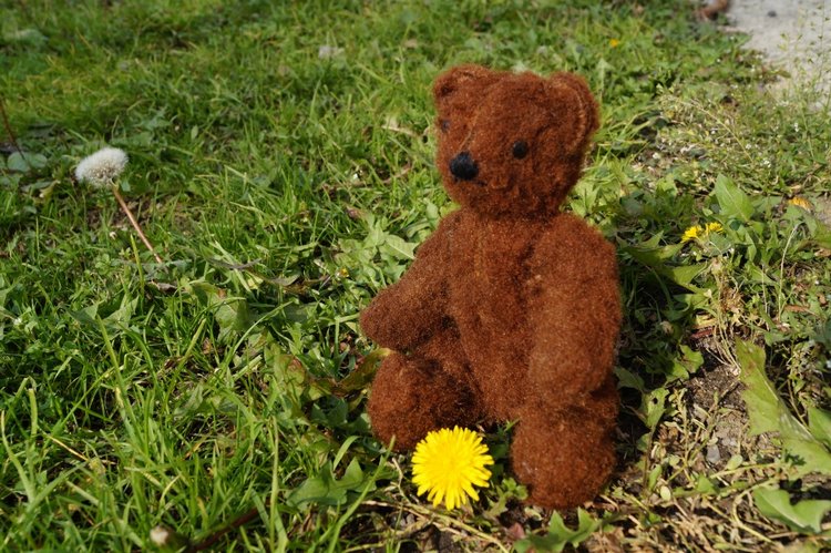 Субботняя выписка из кукольной лечебницы