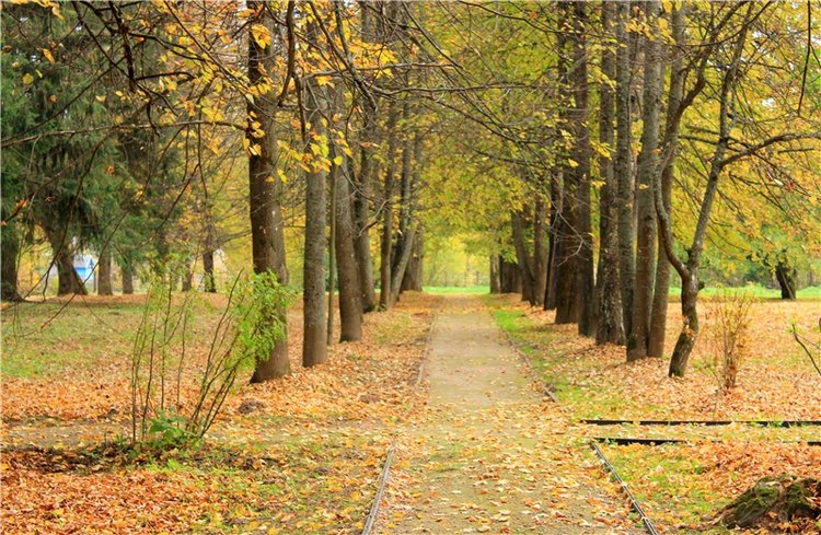 Золотая Осень в Берново с Имани. Mini Imani от Kaye Wiggs