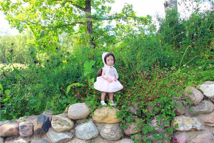 Принцессы в Райке — Куклы