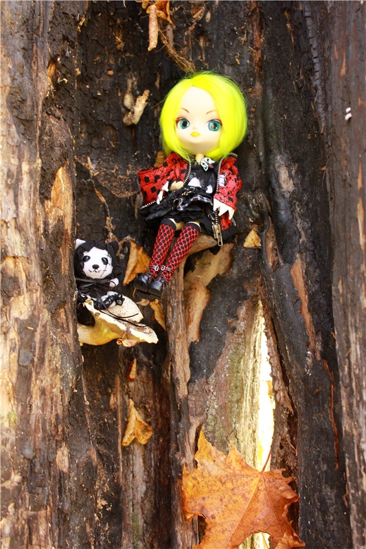 Путешествие Dal Hangry в Грузины, продолжение