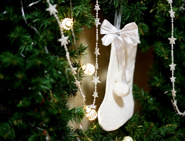 Новогодний сапожок — Другие хобби и увлечения: сад