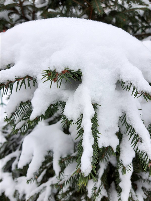 Рождественская Ярмарка в Твери (фото 3)