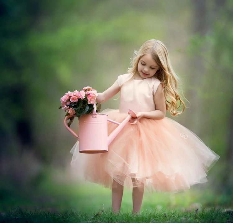 Розовая мечта или реальность