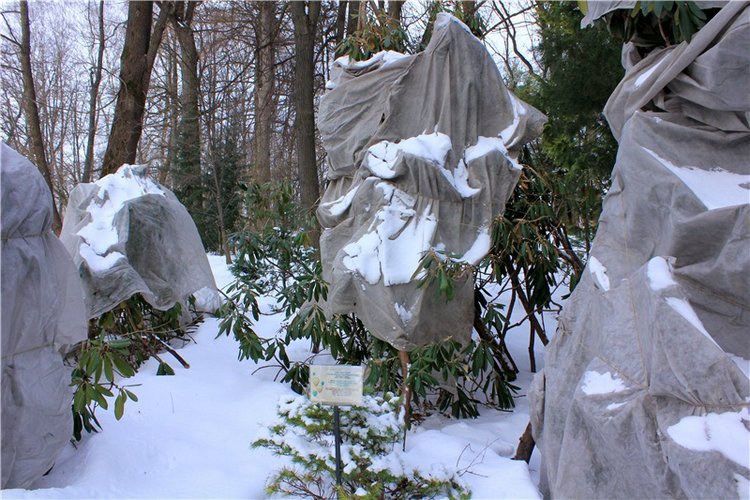 Тверской Ботанический Сад, заключительная часть