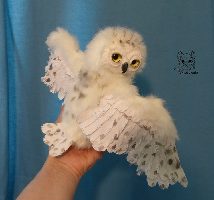 Полярные совы. Стремящиеся в полет