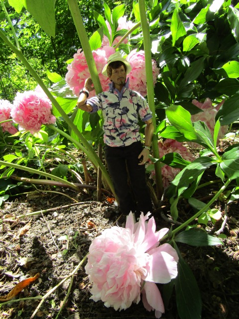 Тони Старк: приключения без брони. И снова Аптекарский огород | Бэйбики Тони Старк: приключения без брони. И снова Аптекарский огород