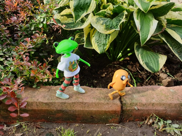 Лягушка Ванда и все-все-все