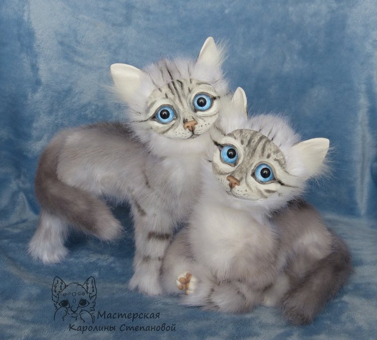 Невские Маскарадные коты серебристого окраса и Совята