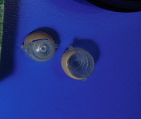 "Рыжулька и Модная девушка". В догонку к теме "Помогите, пожалуйста, оценить работу!"