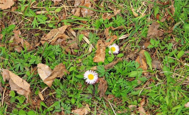 Усадьба Чукавино, Тверская область