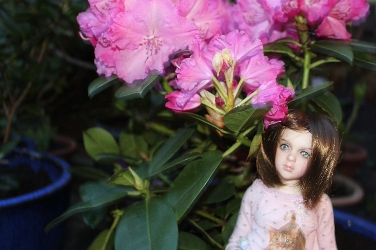 Вечерний сад. Розочка в пижамке (фото 6)