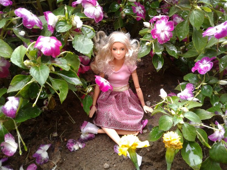 Последний месяц лета. Мой Псков. Аурика (фото 7)