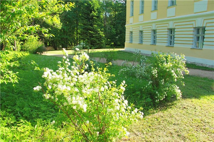 Моё Солнышко — Антикварные куклы Jumeau (Жюмо): Tete Jumeau
