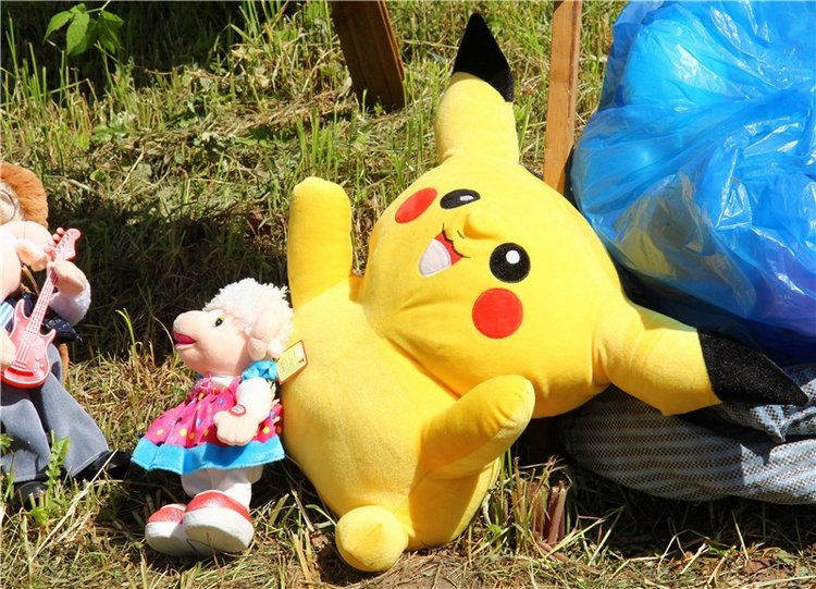 Я ехал к Вам! Пушкинский праздник в Берново, 2018 год (фото 7)