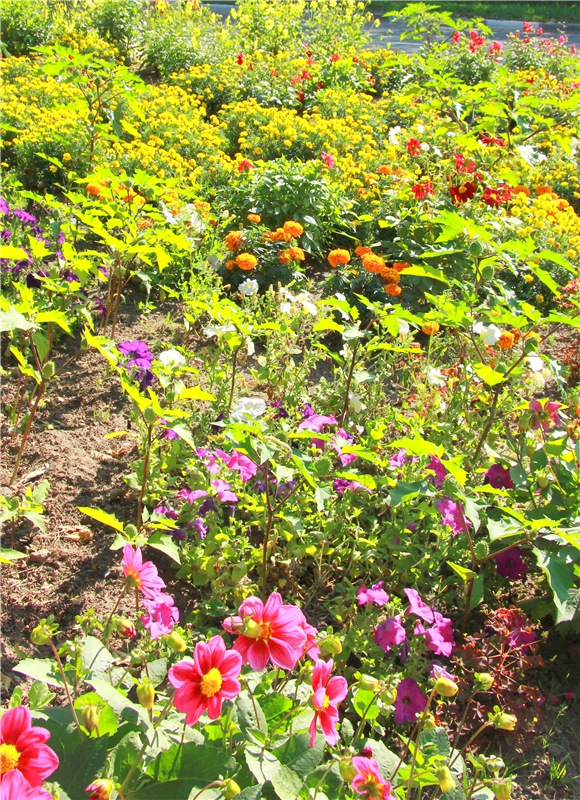 Старицкая Швейцария. Путешествие Мии. Minifee Miyu FairlyLand | Бэйбики Старицкая Швейцария. Путешествие Мии. Minifee Miyu FairlyLand (фото 6)