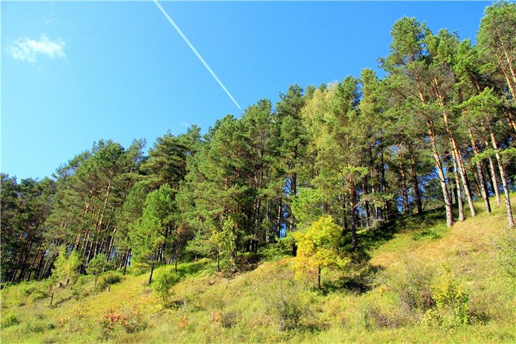Старицкая Швейцария. Старицкие пещеры, д. Толпино, заключительная часть