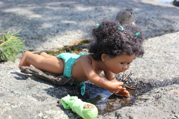 Базовичок обыкновенный. Дикий, но симпатичный | Бэйбики Базовичок обыкновенный. Дикий, но симпатичный