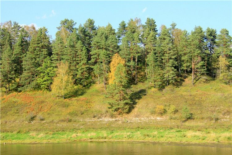 Нийя. Воспоминание об осени, Чукавино, Эко-Лэнд