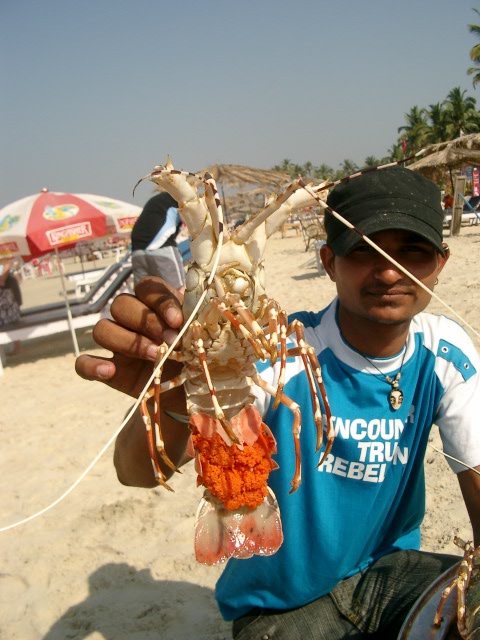 Сказочная Индия — Туризм и путешествия: фотоотчеты из поездок