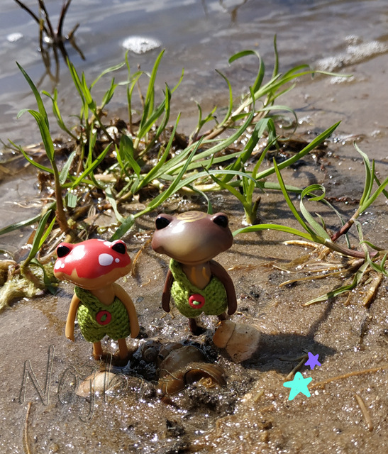 Wonderfrog. Красота в простоте