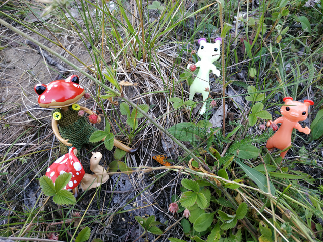 Wonderfrog. Красота в простоте