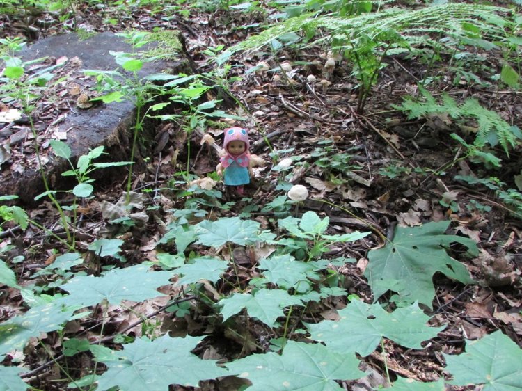 Веселое путешествие по Парку Измайлово - 2