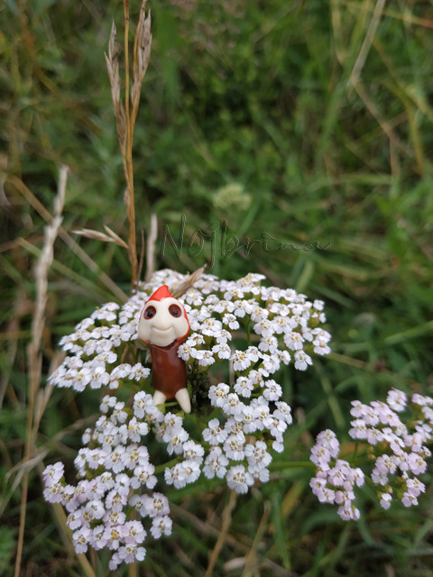 Wonderfrog. Красота в простоте