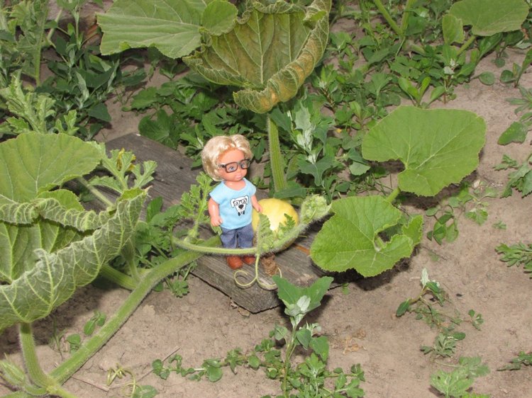 Путешествие в Нижегородскую область - часть 3 - Тимошка на усадьбе