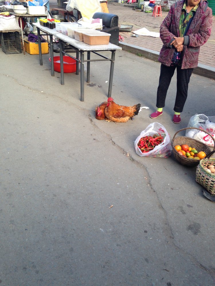 Прогулка по Китаю-2 (обзор цен на игрушки, животных, шмотки, еду)