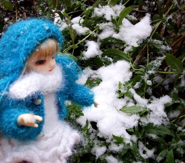 Утром кот принёс на лапах первый снег (фото 4)