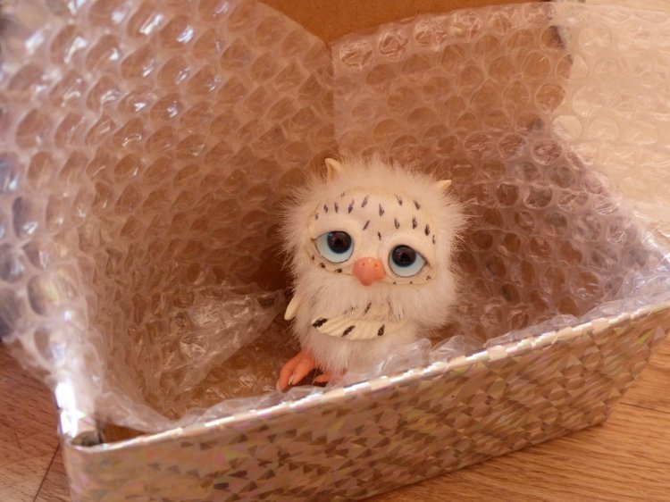 Новогодняя упаковка, провожаем в путь зверяток. Разные фотографии