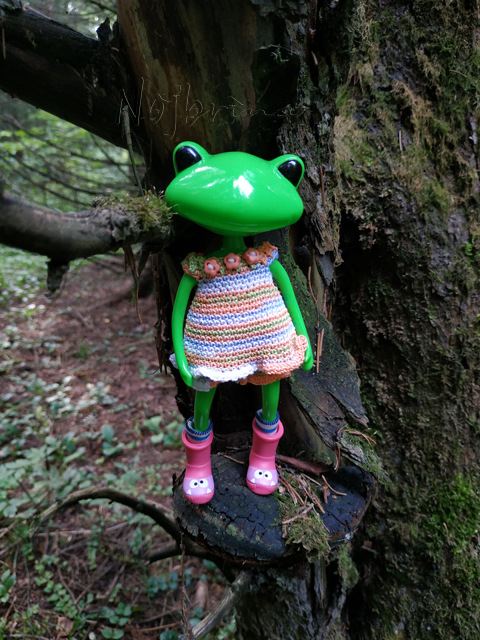 Wonderfrog. Красота в простоте. Часть 2